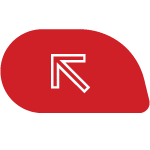 Walking system